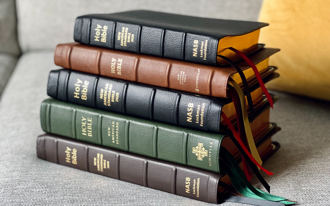 What Are Some Different Kinds Of Bibles?